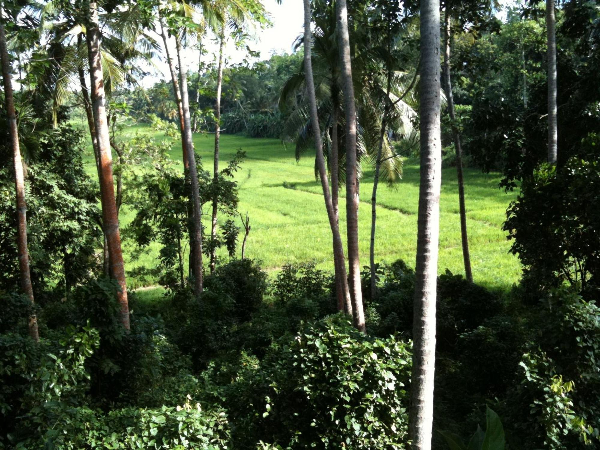 Kalahe House Hotel Galle Eksteriør billede